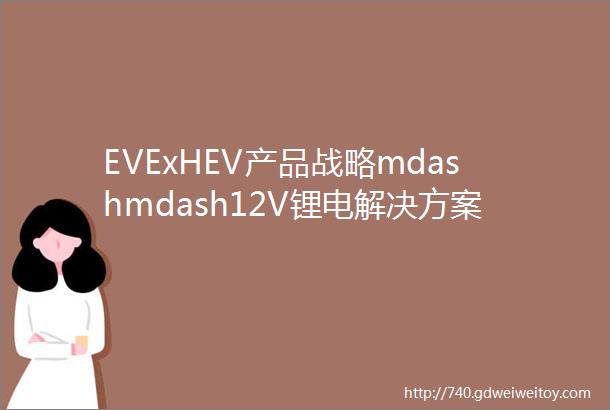 EVExHEV产品战略mdashmdash12V锂电解决方案